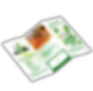 Flyer "Supergreens"