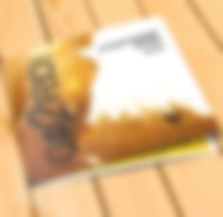 Brochure "Starter Pack with DX4 (634)"